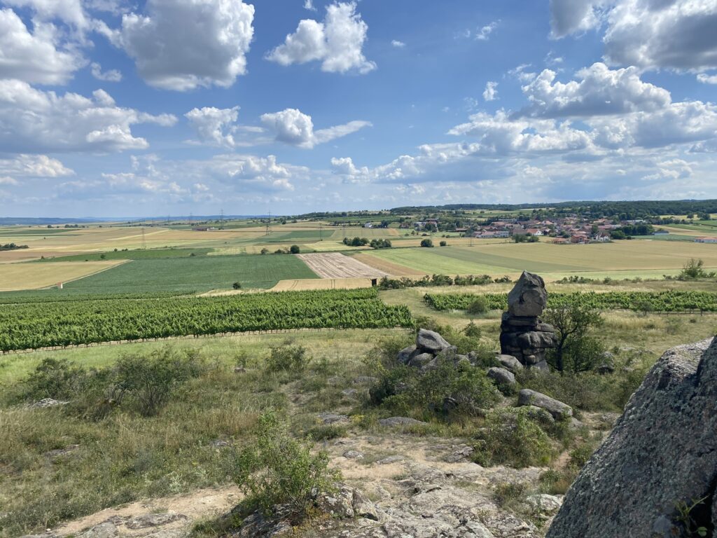 Fehhaube